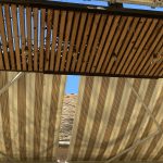 Poezija – Radmila Petrović: Kad me opišeš prijateljima kažu šta će ti to