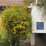 Foto esej: April u mom kraju